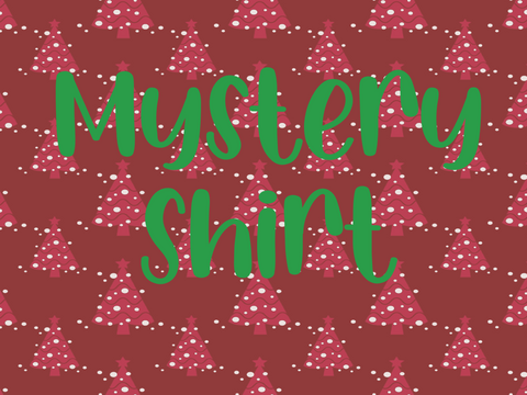 Christmas Mystery tee- please read item description